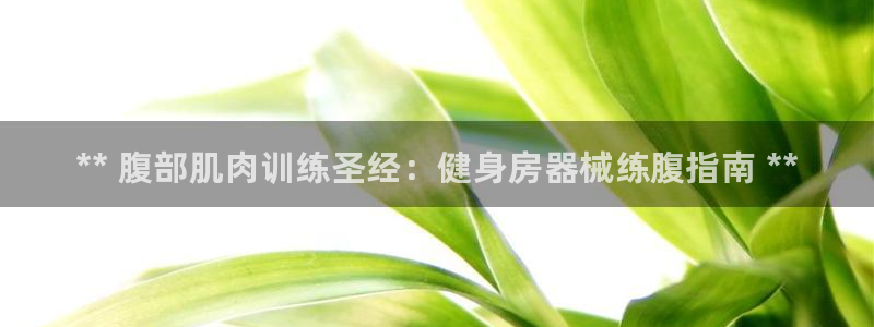 香港尊龙:** 腹部肌肉训练圣经:健身房器械练腹指南 **