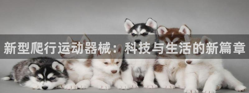 尊龙百度百科:新型爬行运动器械:科技与生活的新篇章